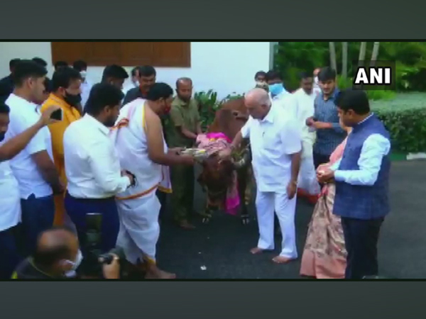    Karnataka Chief Minister BS Yediyurappa on Friday worshiped a cow in Bengaluru.