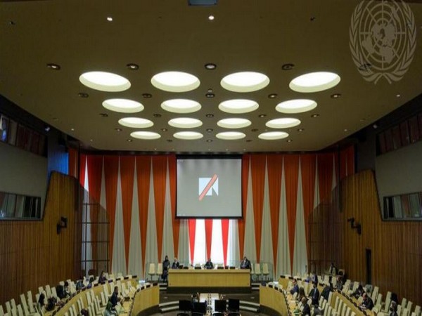 UN Security Council's Counter-Terrorism Committee. 