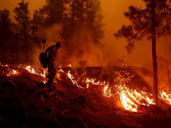 Northern California wildfires (Photo Credit - Reuters)