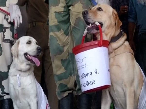 BSF dog squad took part in the cleanliness campaign in Jammu. Photo/ANI