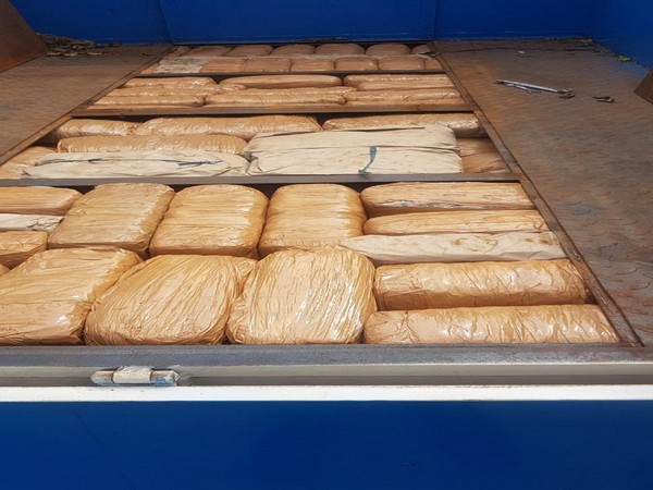 Andhra Pradesh Police seized 120 kg cannabis on Wednesday. (Photo/ANI)