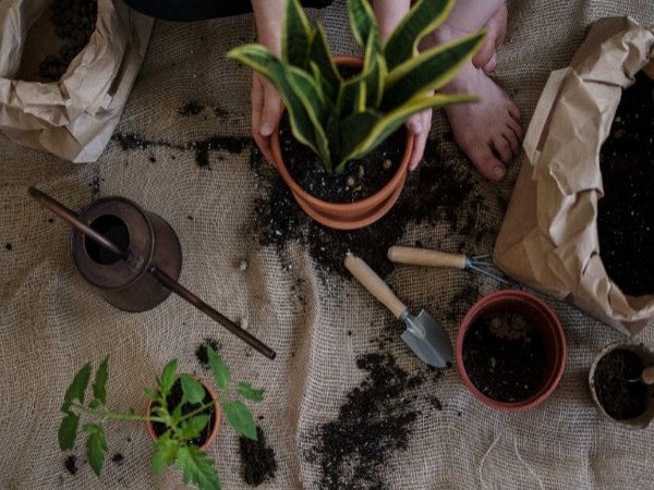 Representative Image