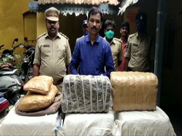 SEB Joint Director M Sattibabu with 77 kg cannabis seized from Krishna, AP. (Photo/ANI)