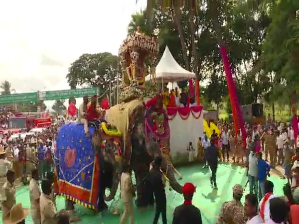 An elephant panicked due to loud noises during Dasara celebrations in Mandya. (Photo/ANI)