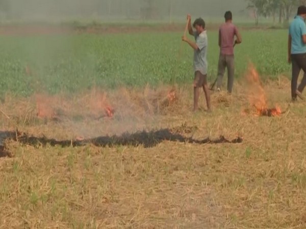 Stubble burning continues in Punjab. (Photos/ANI)