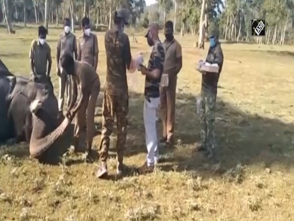 Visual from the Mudumalai Tiger Reserve (Photo/ANI)