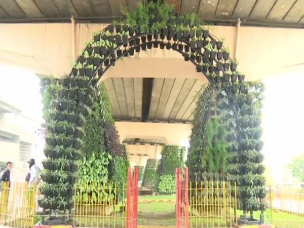 Visual from Jammu Vertical Garden (Photo/ANI)