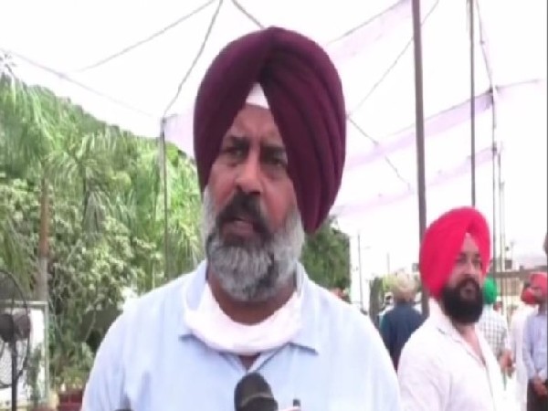 Punjab Pradesh Congress Committee general secretary Pargat Singh (Photo/ANI)