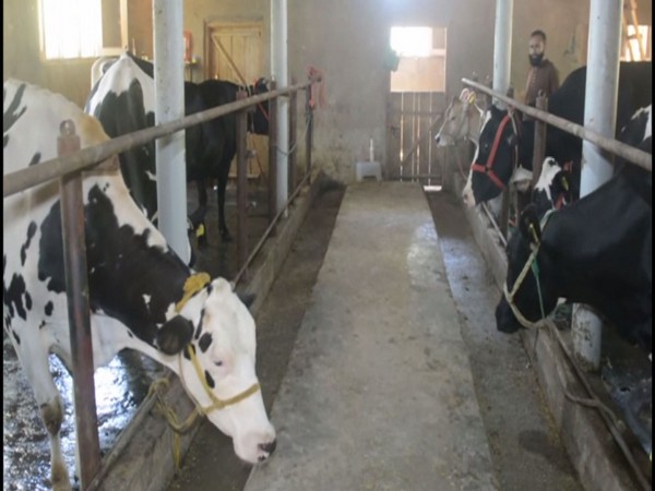 Visual of a diary started under IDDS in Anantnag. (Photo/ANI)