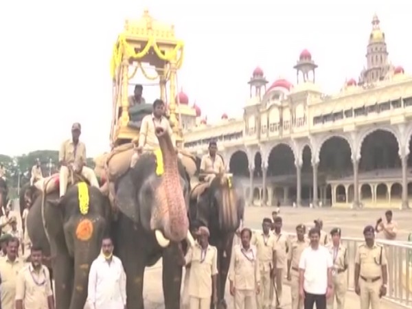 Visuals from Mysuru Palace (ANI)