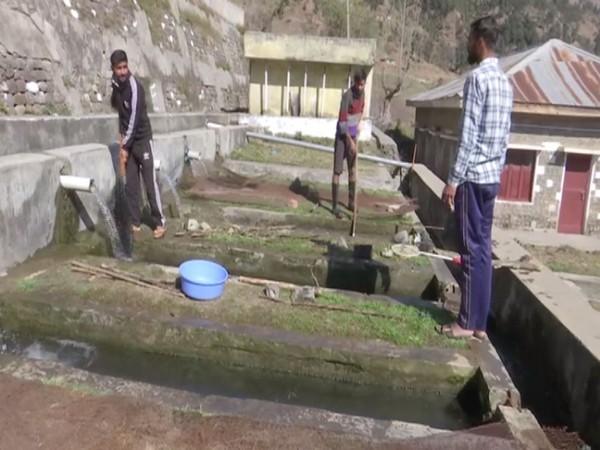 Trout fish farming in Rajouri district. (Photo/ANI)