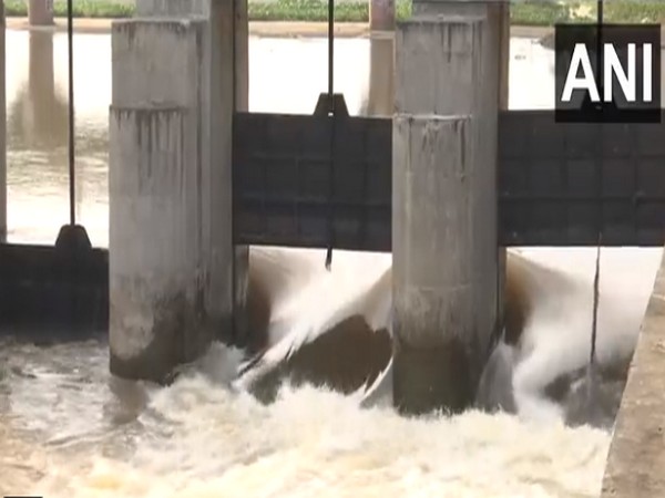 Visuals from Vaigai dam (Photo/ANI)