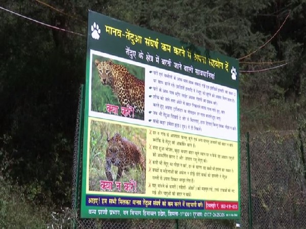 Locals' demands action after leopard kills two children within three months in Shimla (Photo/ANI) 
