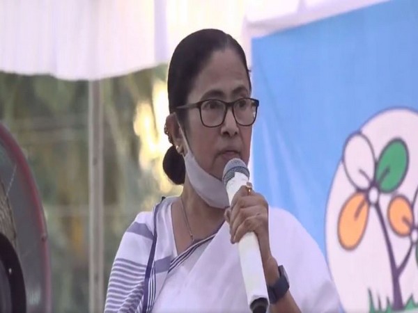 West Bengal Chief Minister Mamata Banerjee (File photo) 
