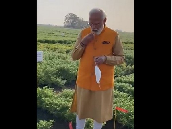 Prime Minister Narendra Modi at ICRISAT farm in Hyderabad (Photo/ANI)