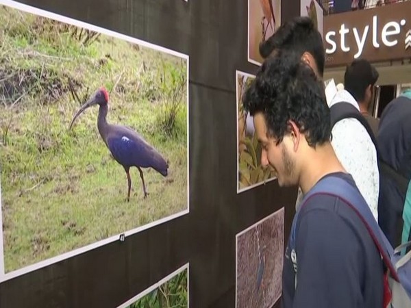 Glimpse of North Bengal Bird Festival in Siliguri