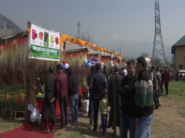 A visual from the blossom festival organized in Srinagar. [Photo/ANI]