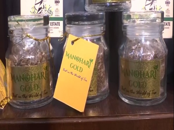 Manohari Gold Tea, a rare variety of tea in Assam (Photo/ANI)