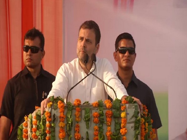 Congress leader Rahul Gandhi addressing an election rally in Mahendragarh, Haryana, on Friday. Photo/ANI