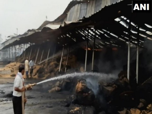 A huge government loss has been estimated in a massive fire at Anaj Mandi (Photo/ANI)