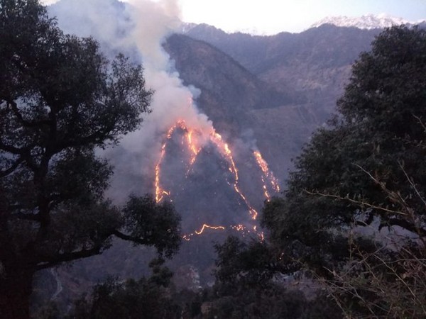Fire that broke out in the forests in the Chaura area of Kinnaur on Wednesday morning, has been partially controlled. Photo/ANI