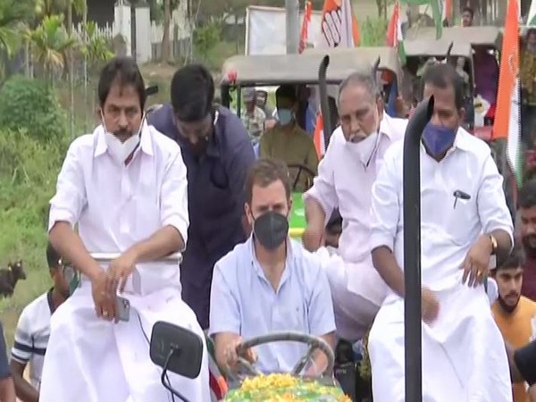 Congress leader Rahul Gandhi during a tractor rally in Wayanad, Kerala. (Photo/ANI)