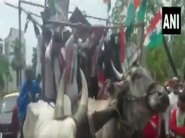 Visual of bullock cart collapsing mid protest (Photo/ANI)
