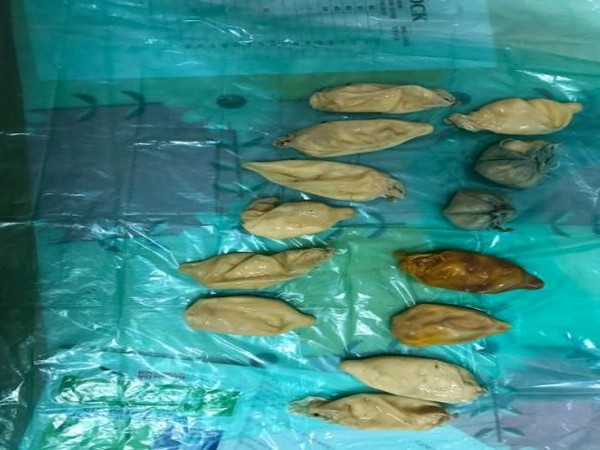 Cocaine pouches (Photo/ANI)