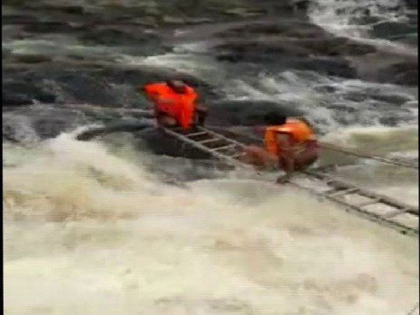 Kolar Municipal Corporation carrying out the rescue operation in Bhopal on Tuesday (Photo/ANI)