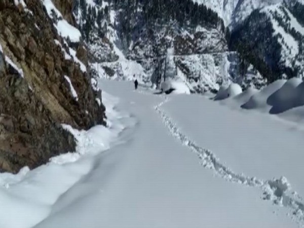 Visual from the site (Photo/ANI)