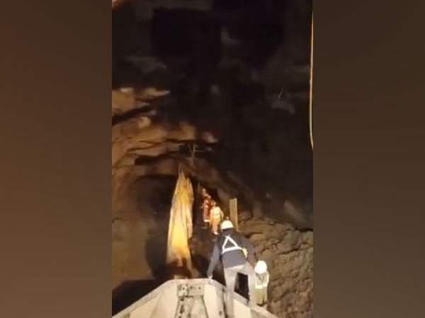 Visual form the site