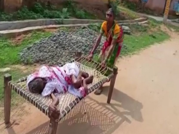 Elderly daughter carried 120-year-old mother on cot to bank for pension money in Odisha's Nuapada district (Photo/ANI)