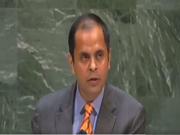 Pratik Mathur, Counsellor in India's Permanent Mission to the UN.