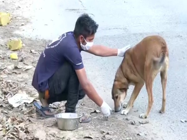 Vipin Kumar while feeding a dog (Photo/ANI)