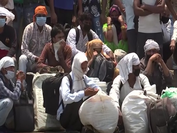 Migrants gather in Sonipat's Kundli seeking to return home (Photo/ANI)