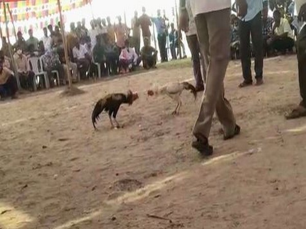 Visual from East Godavari(Photo/ANI)