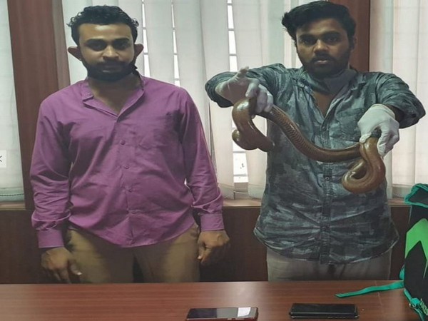 Central Crime Branch (CCB) Bengaluru arrests two people who were trying to sell a two-headed snake (Photo/ANI)