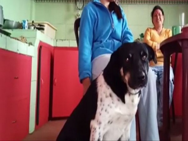 4-year-old Tiger saved owner from a leopard [Photo/ANI]