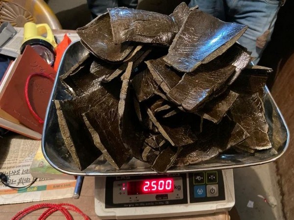 Kullu Police arrested Israeli national with cannabis (Photo/ANI)