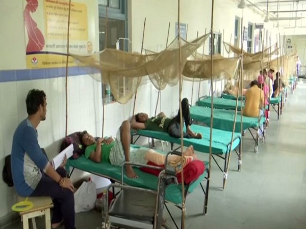 Dehradun witnesses an outbreak of dengue as a result of heavy rainfall in the state. (Photo/ANI)