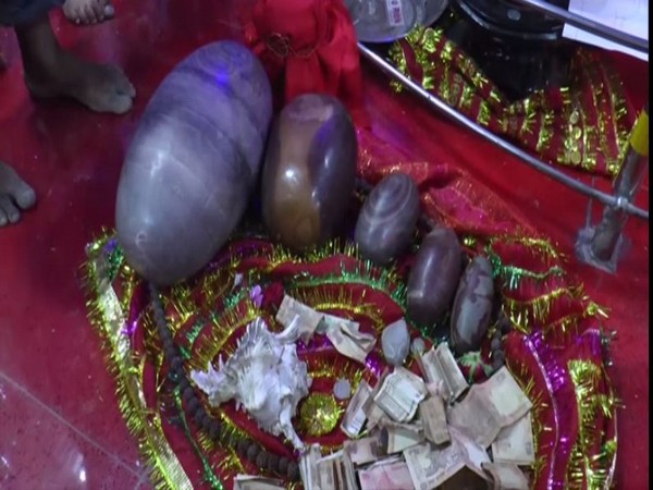 Five shivalinga and several old coins found during excavation in Shiva temple in Ludhiana. [Photo/ANI]