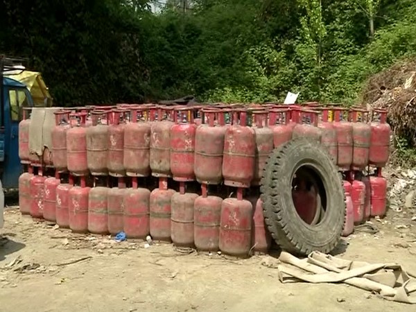 Stock of Liquefied Petroleum Gas (LPG) cylinders (Photo/ANI)