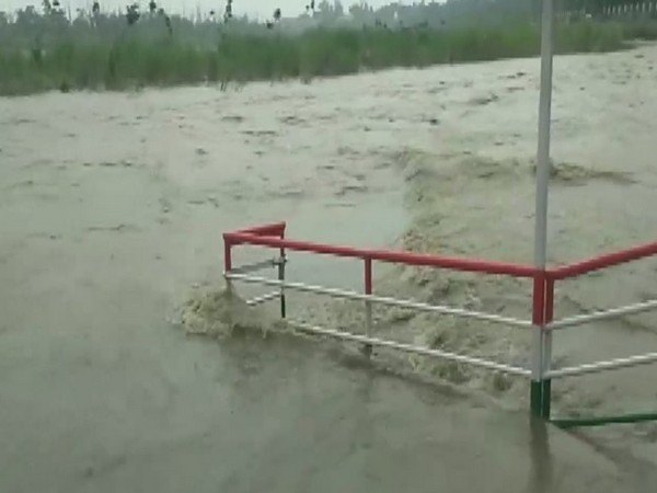 Ganga River in Rishikesh close to danger mark at 338.05 meters (Photo/ANI)