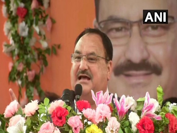 Bharatiya Janata Party (BJP) National Working President, JP Nadda. (Photo/ANI)