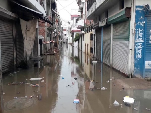 Low-lying areas are flooded in Prayagraj. Photo/ANI
