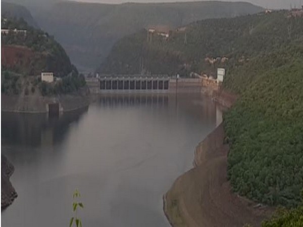 Srisailam reservoir in Kurnool district in Andhra Pradesh. Photo/ANI
