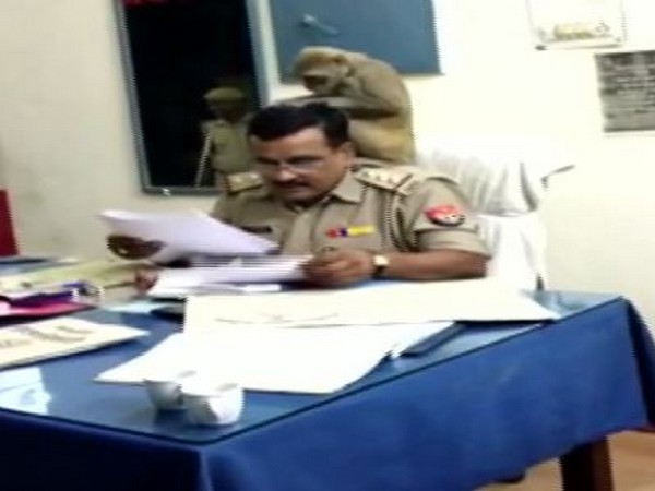 Monkey on the shoulder of Station House Officer (SHO) Srikanth Dwivedi as he flips through the documents. (Photo/ANI)