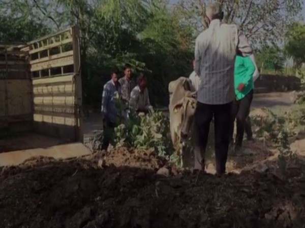 A visual from Jodhpur, Rajasthan [Photo/ANI]