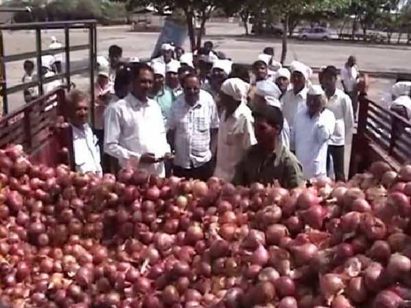 People carrying onions to the market in Nashik on Friday Photo/ANI