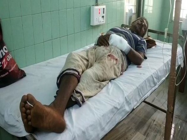 A 65-year-old man Madla Tumbaiah got injured in a bear attack on Sunday, in Limbugan village, Andhra Pradesh . (Photo/ANI)